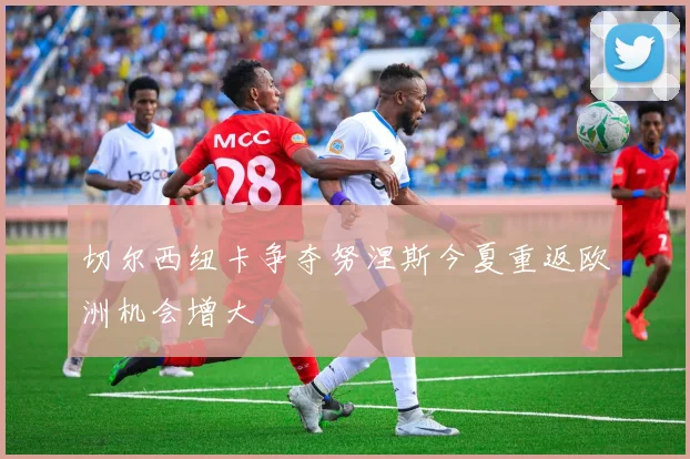 切尔西纽卡争夺努涅斯今夏重返欧洲机会增大